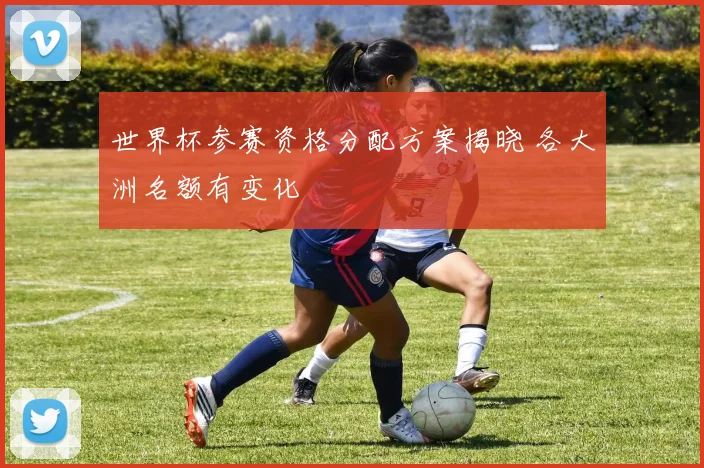 世界杯参赛资格分配方案揭晓 各大洲名额有变化